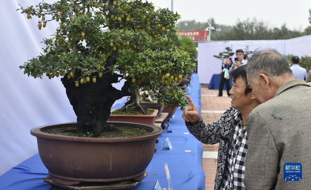 帝一娱乐